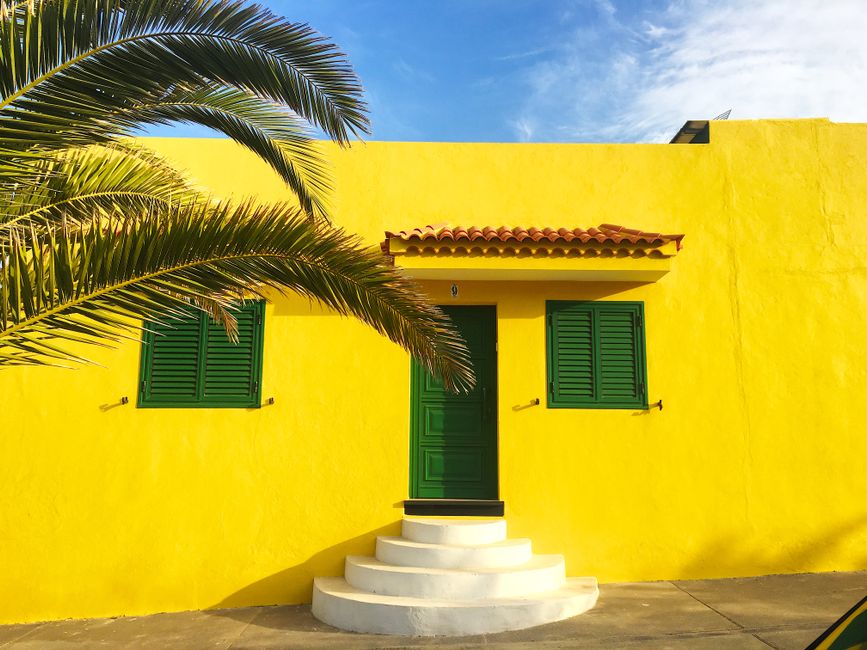 Painted house exterior with trim and a door in daylight
